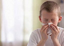 四季森林 第一季,探寻自然轮回的奇幻之旅