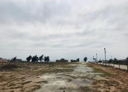 穿山甲Kulu的旅程,穿山甲Kulu的奇幻探险之旅