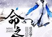 命之途,探寻人生轨迹的奥秘与启示