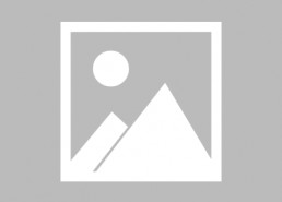 23-24赛季意甲第34轮 热那亚vs卡利亚里,热那亚与卡利亚里激战正酣